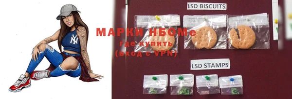 винт Алексин