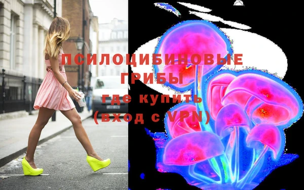 ECSTASY Алексеевка