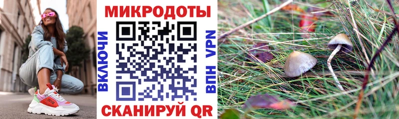 Купить где  Серпухов  Псилоцибиновые грибы GOLDEN TEACHER 